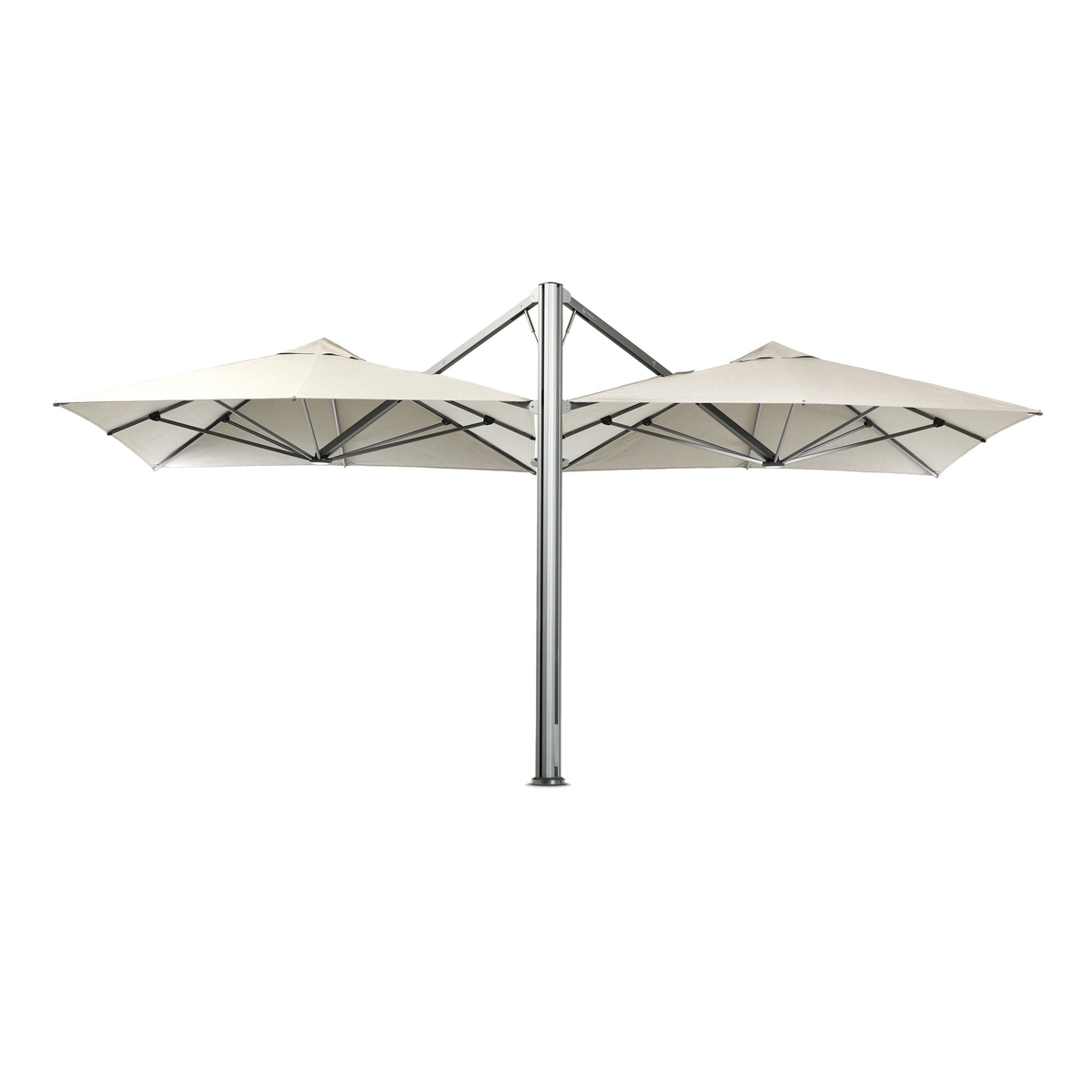 #color_oyster