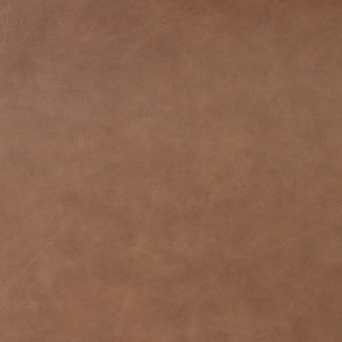 #color_sonoma-chestnut