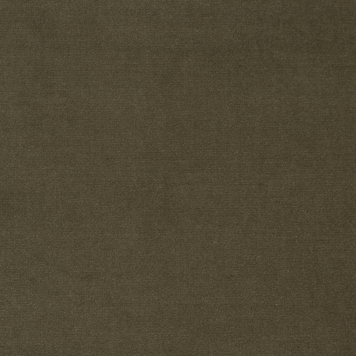 #color_surrey-olive