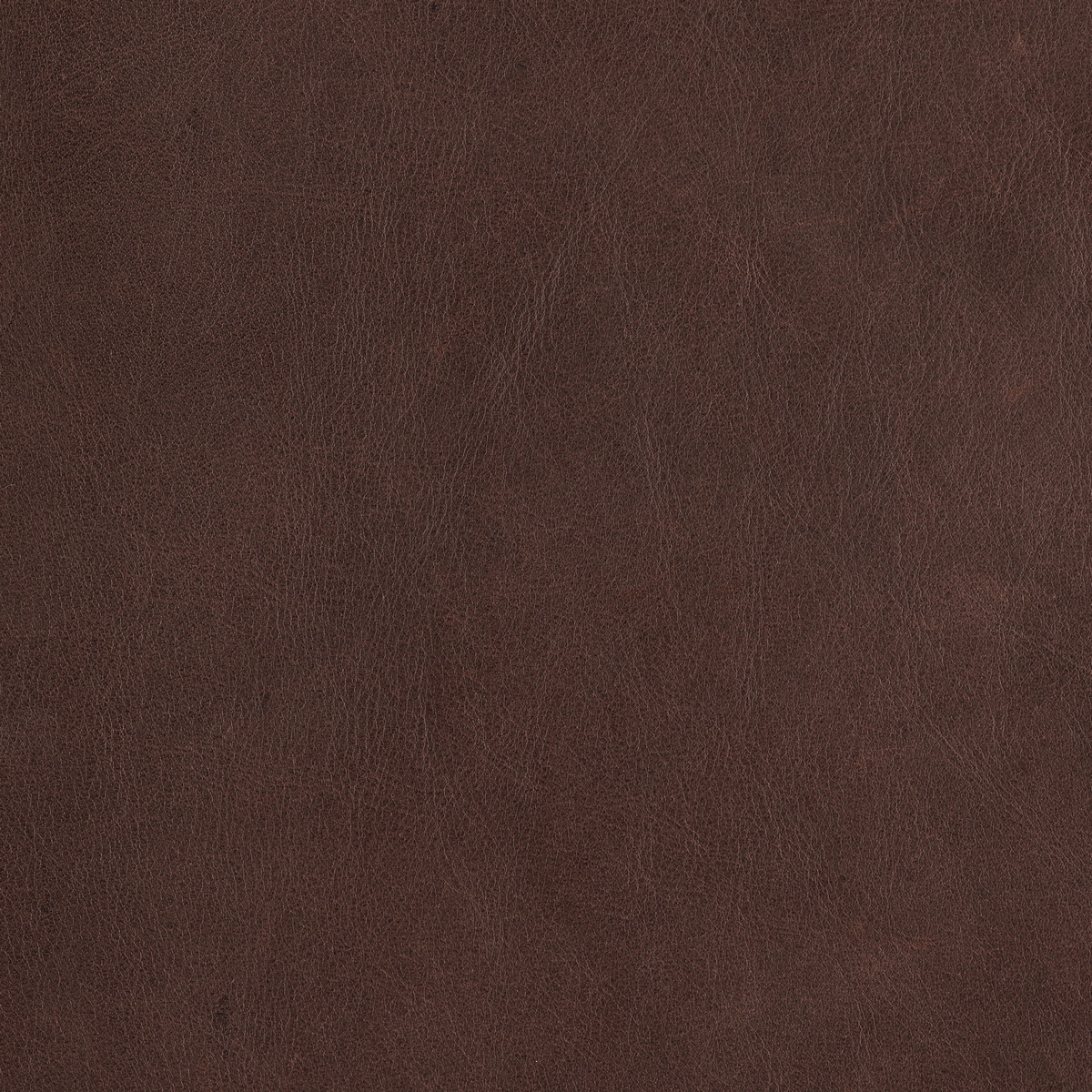 #color_heirloom-cigar