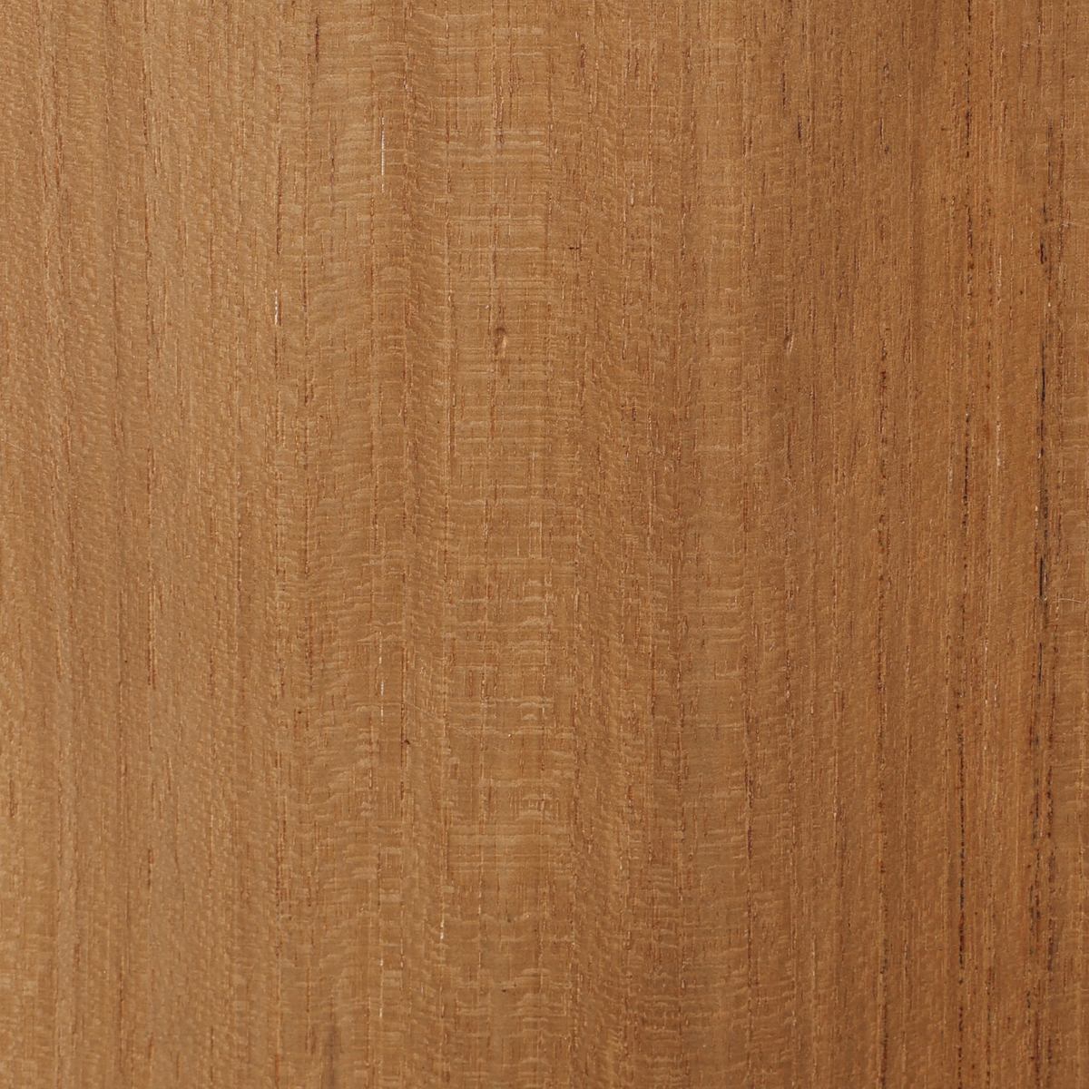 Malta Outdoor Swivel Chair