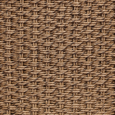 Quaid Outdoor Woven Swivel Chair