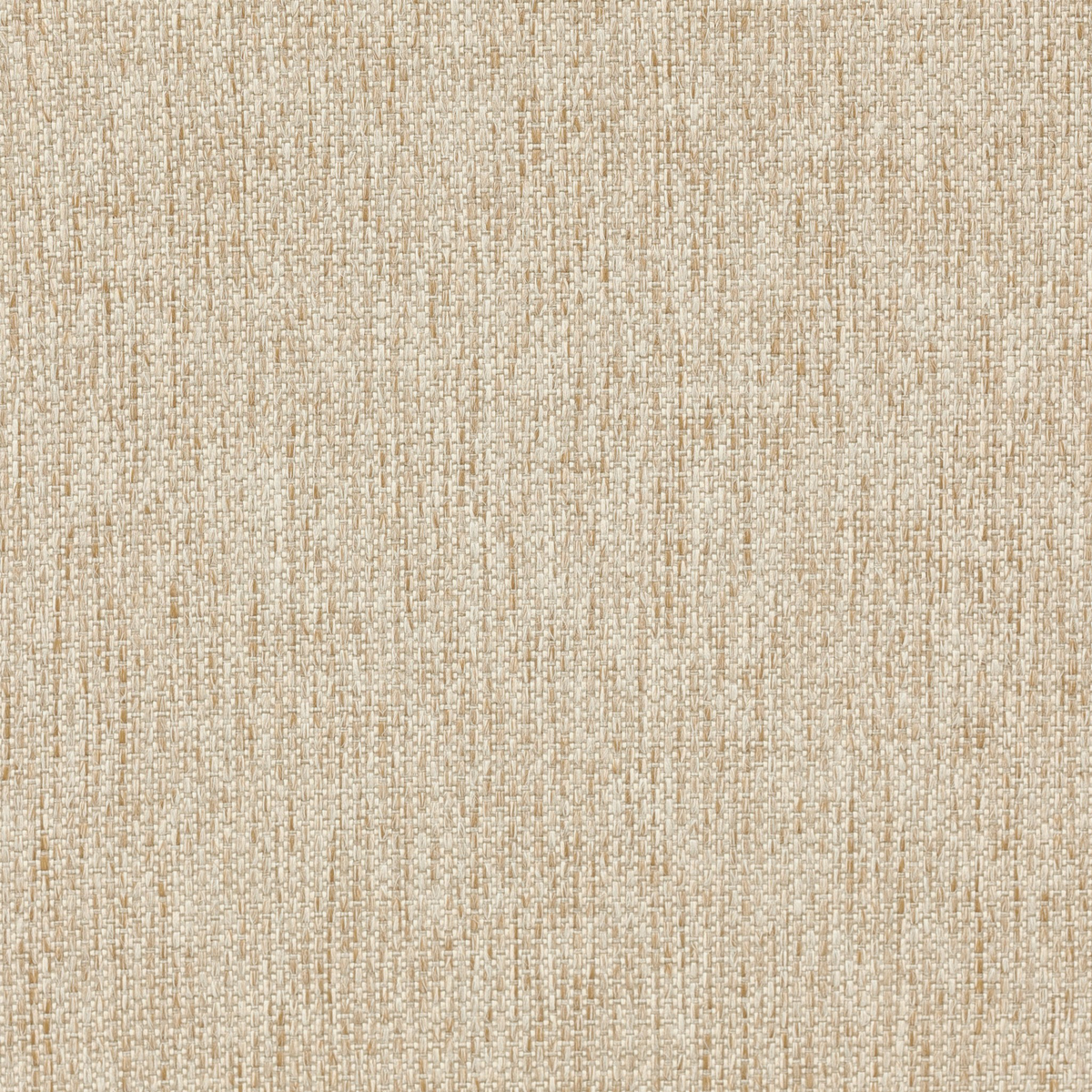 #color_ellor-beige