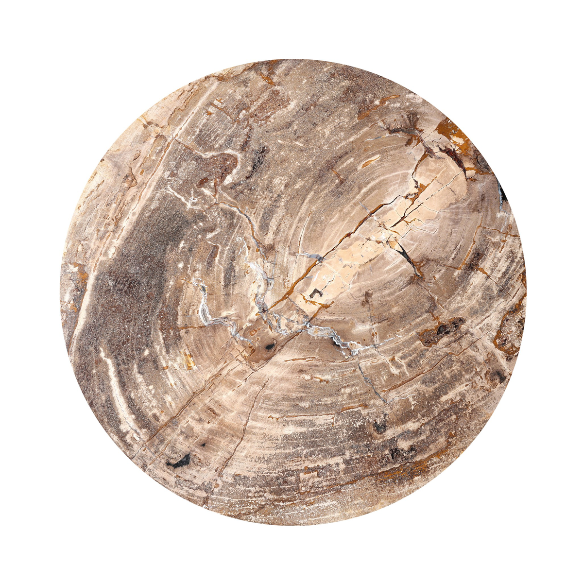 #color_light-petrified-wood