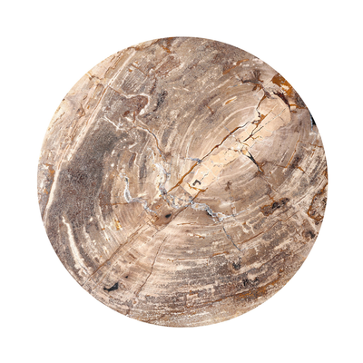 #color_light-petrified-wood