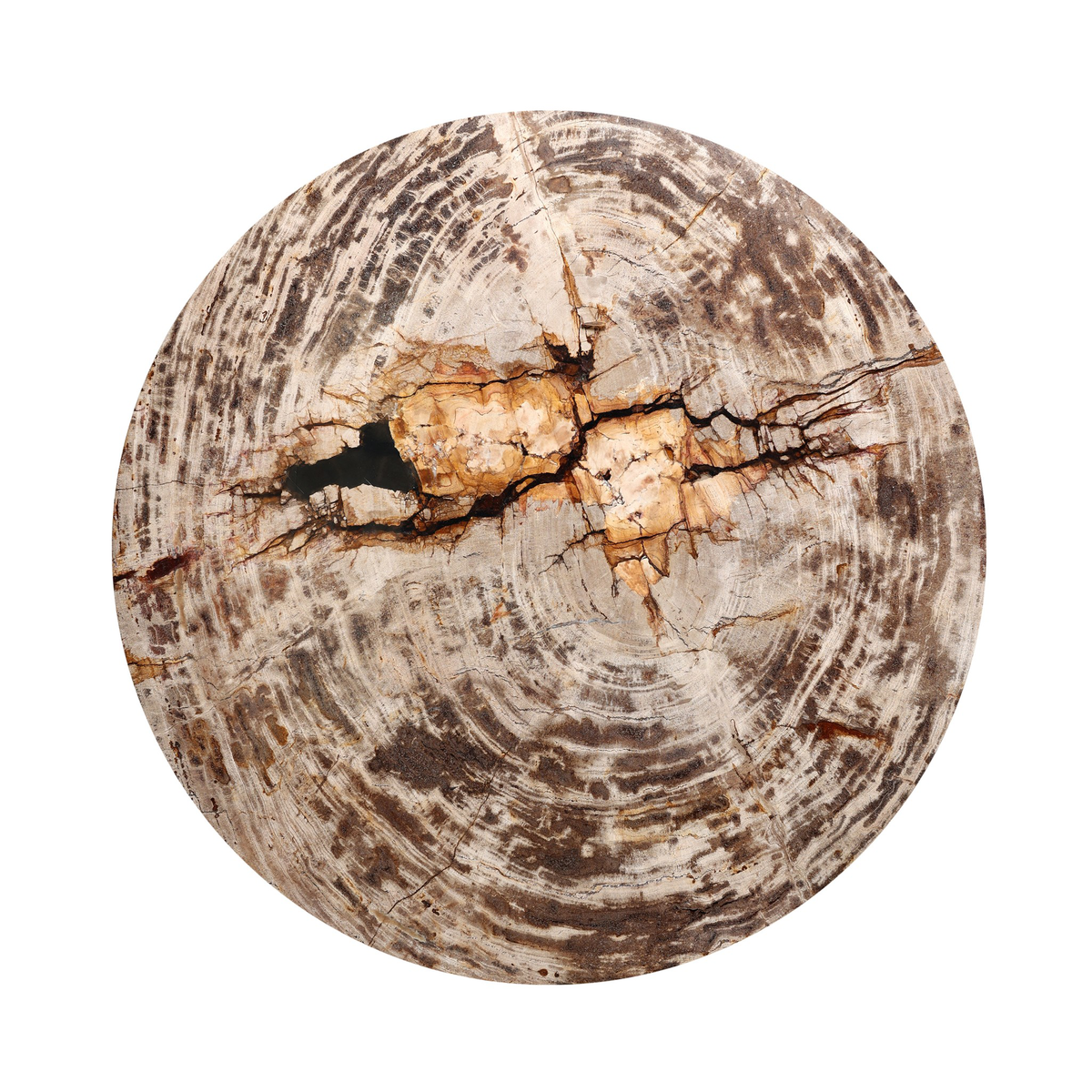 #color_light-petrified-wood