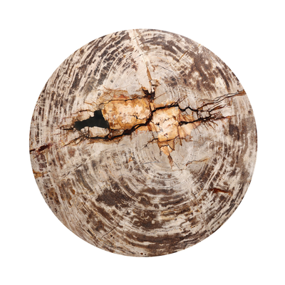 #color_light-petrified-wood