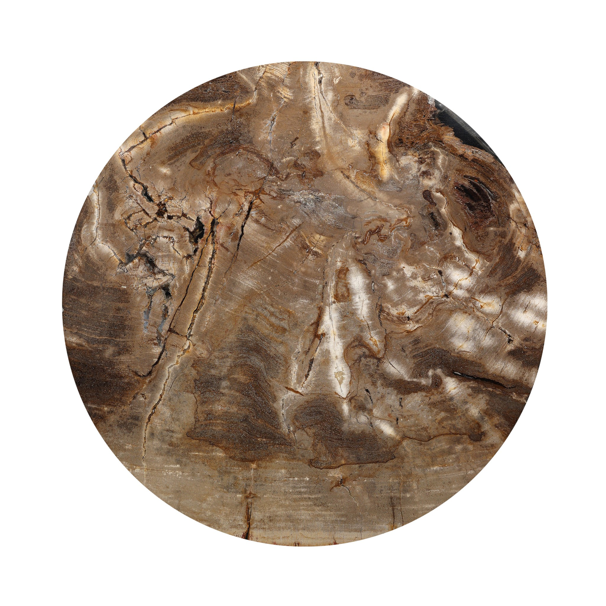 #color_light-petrified-wood