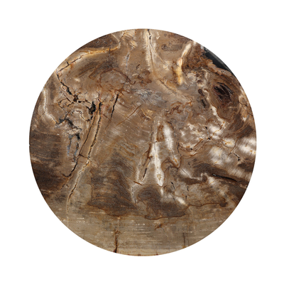 #color_light-petrified-wood