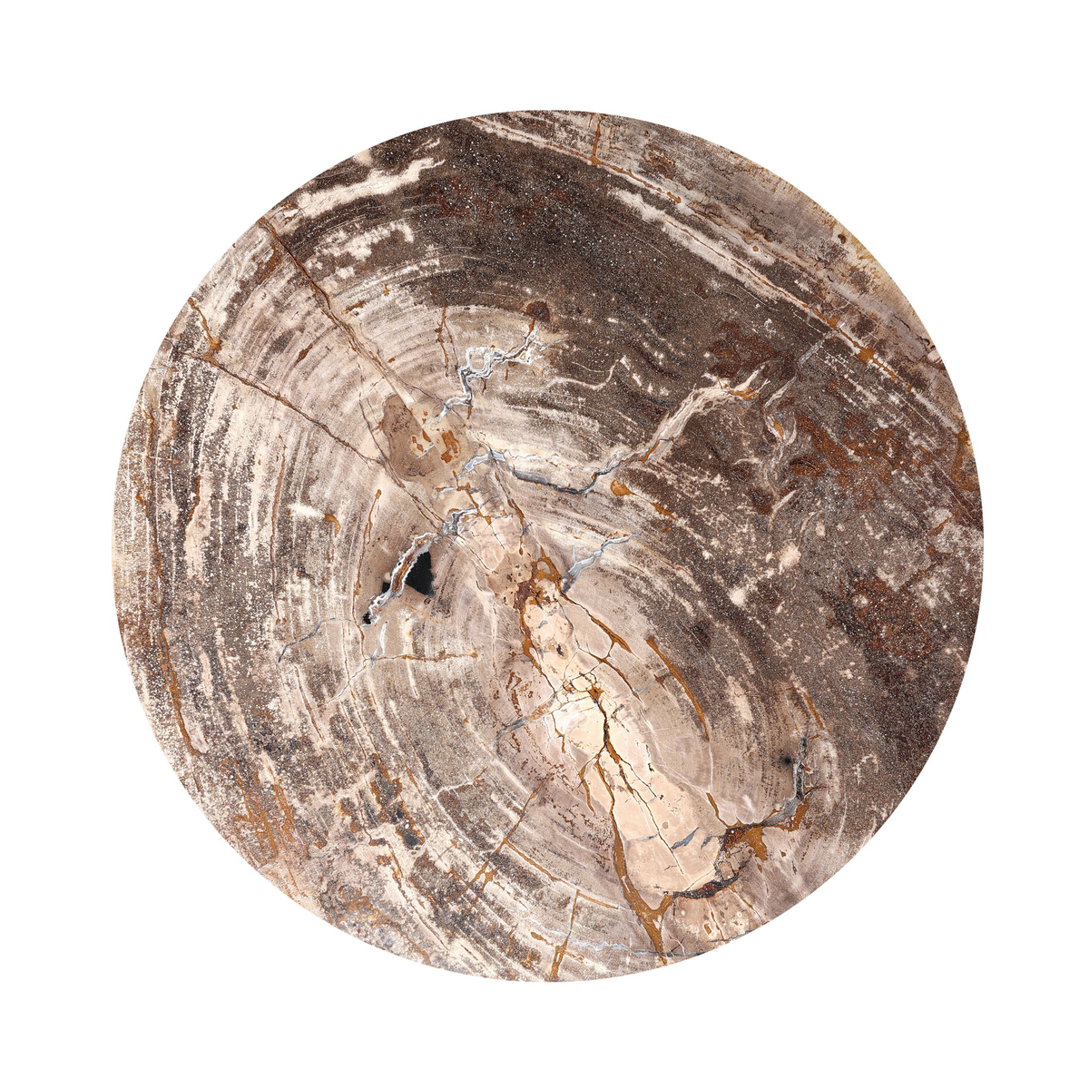 #color_light-petrified-wood