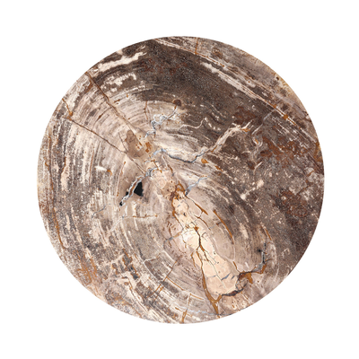 #color_light-petrified-wood