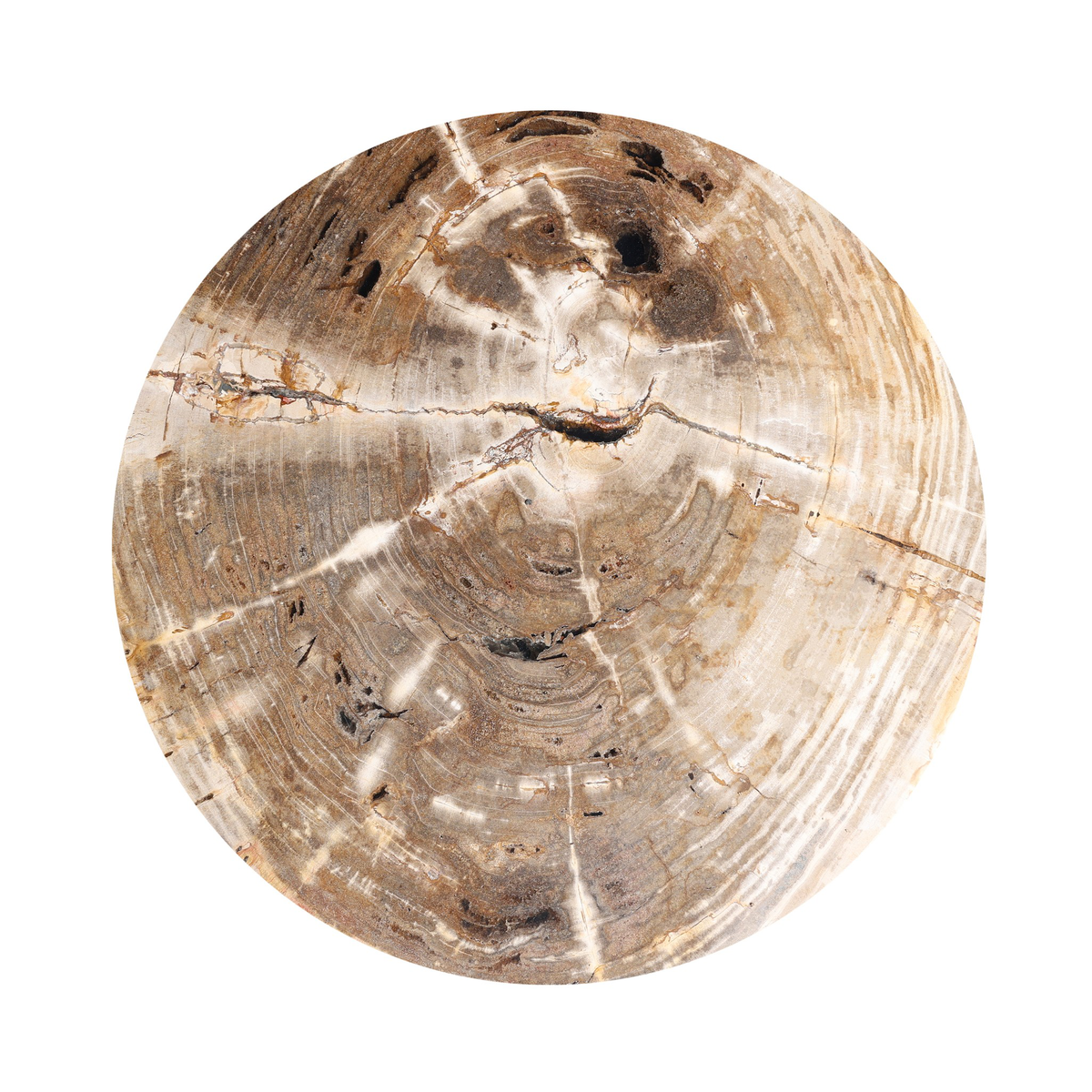 #color_light-petrified-wood