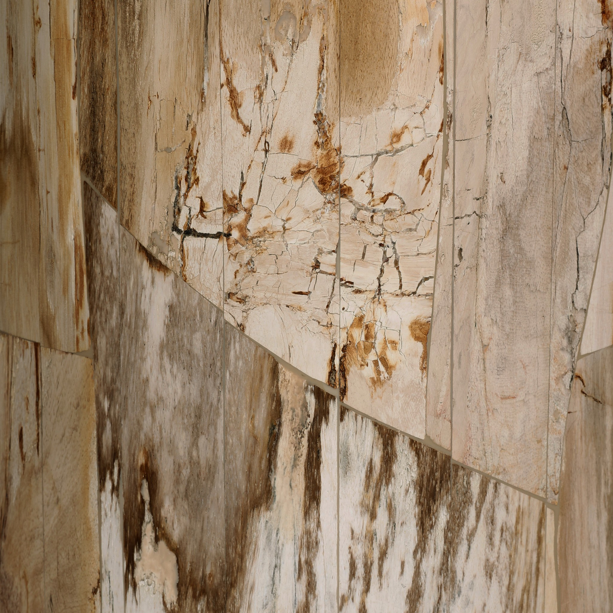#color_light-petrified-wood