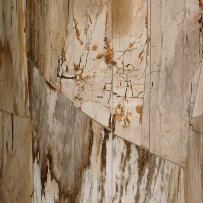 #color_light-petrified-wood