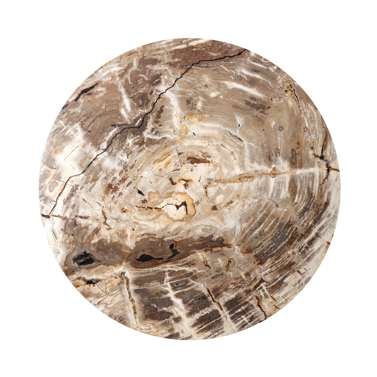 #color_light-petrified-wood