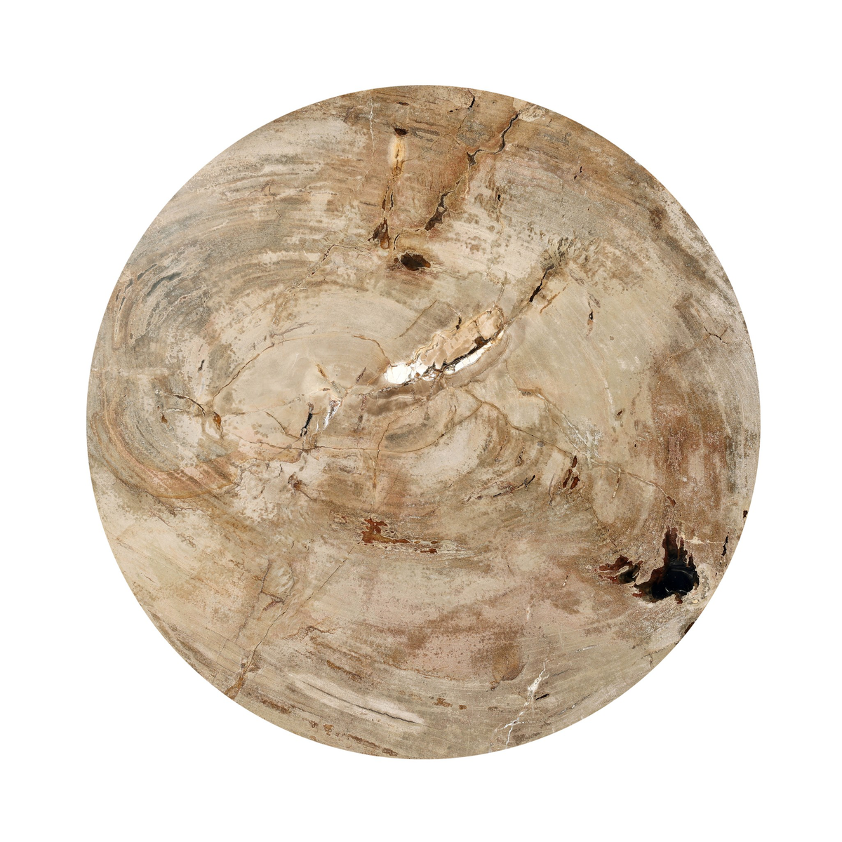 #color_light-petrified-wood