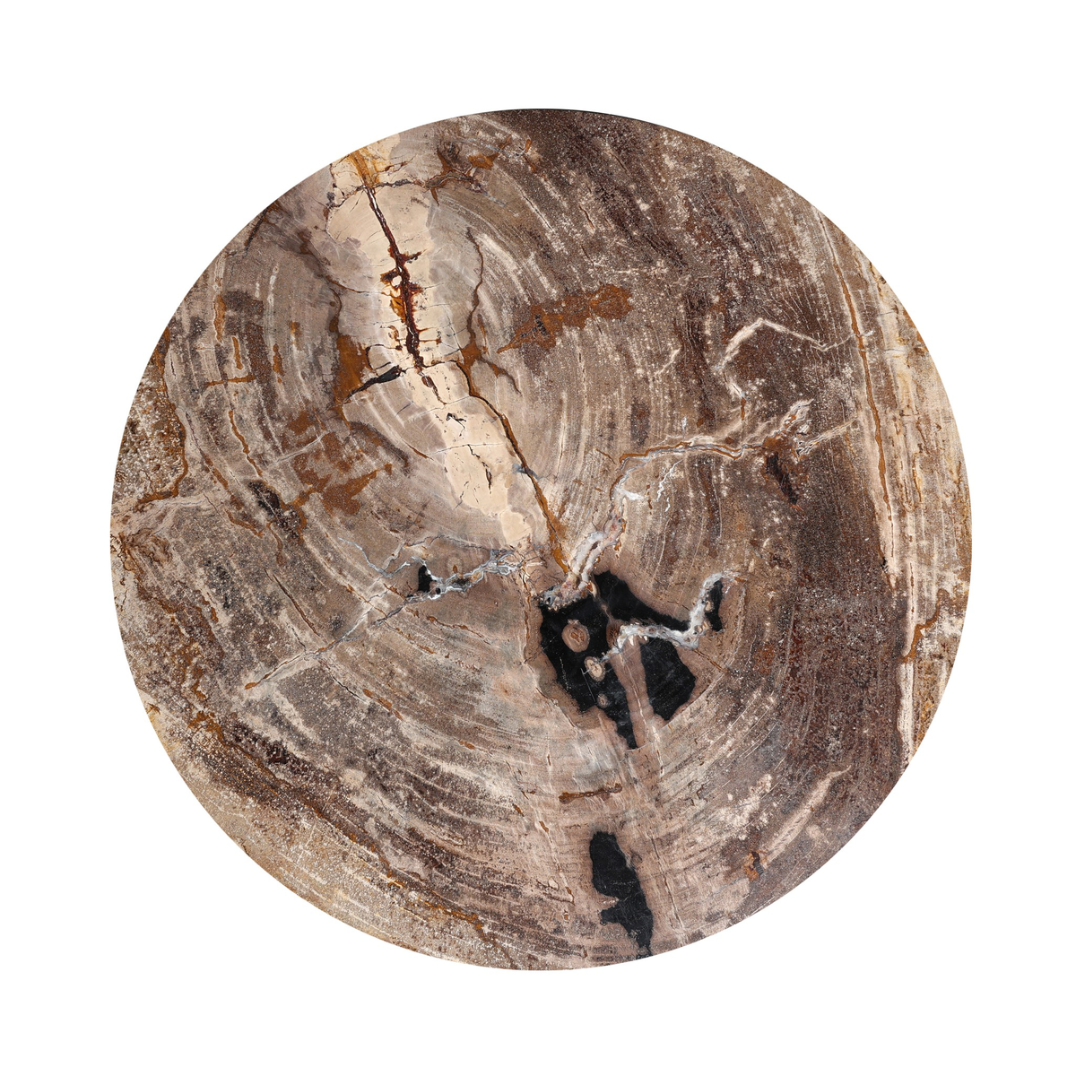 #color_light-petrified-wood