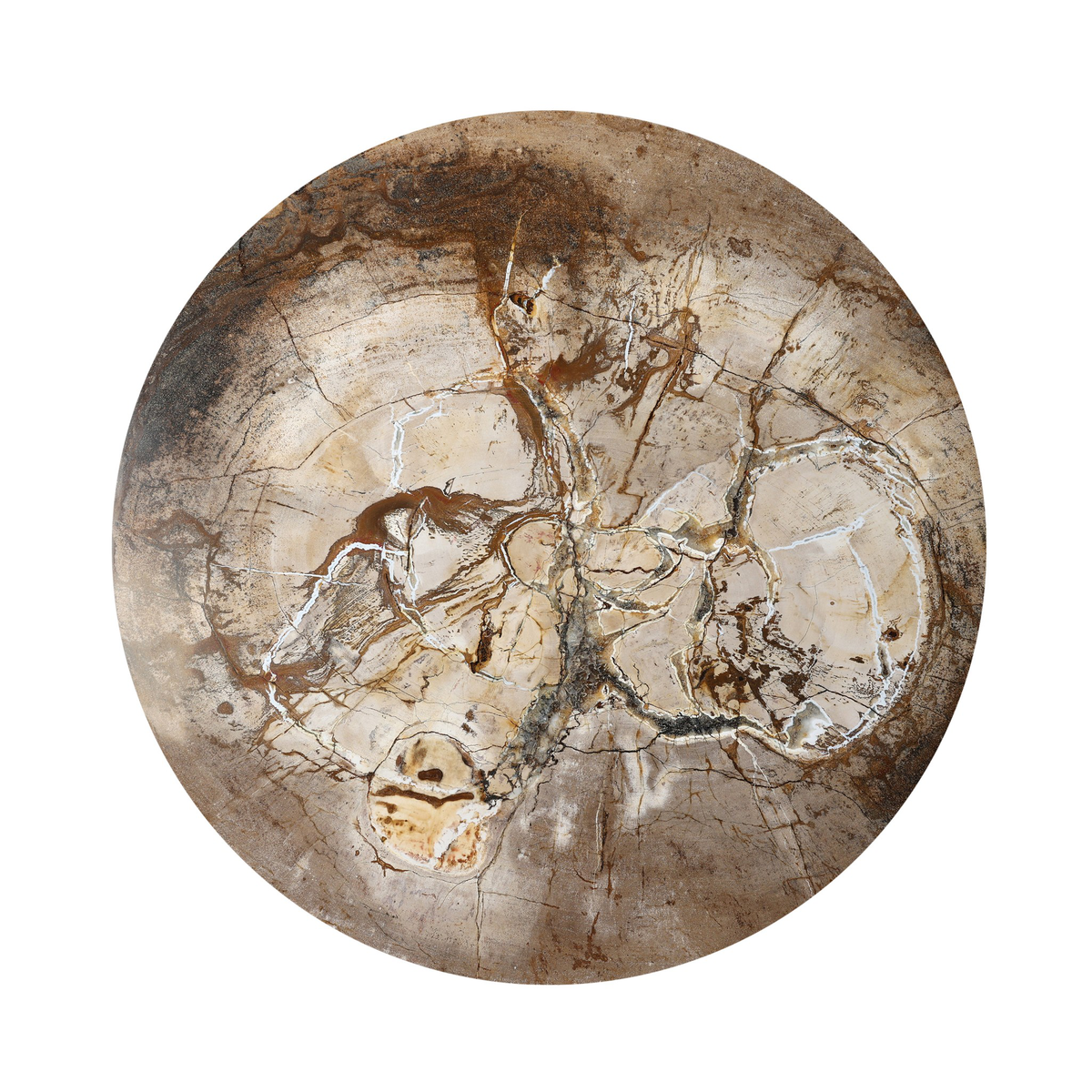 #color_light-petrified-wood