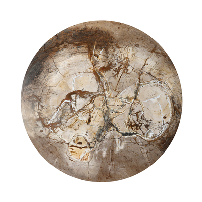 #color_light-petrified-wood