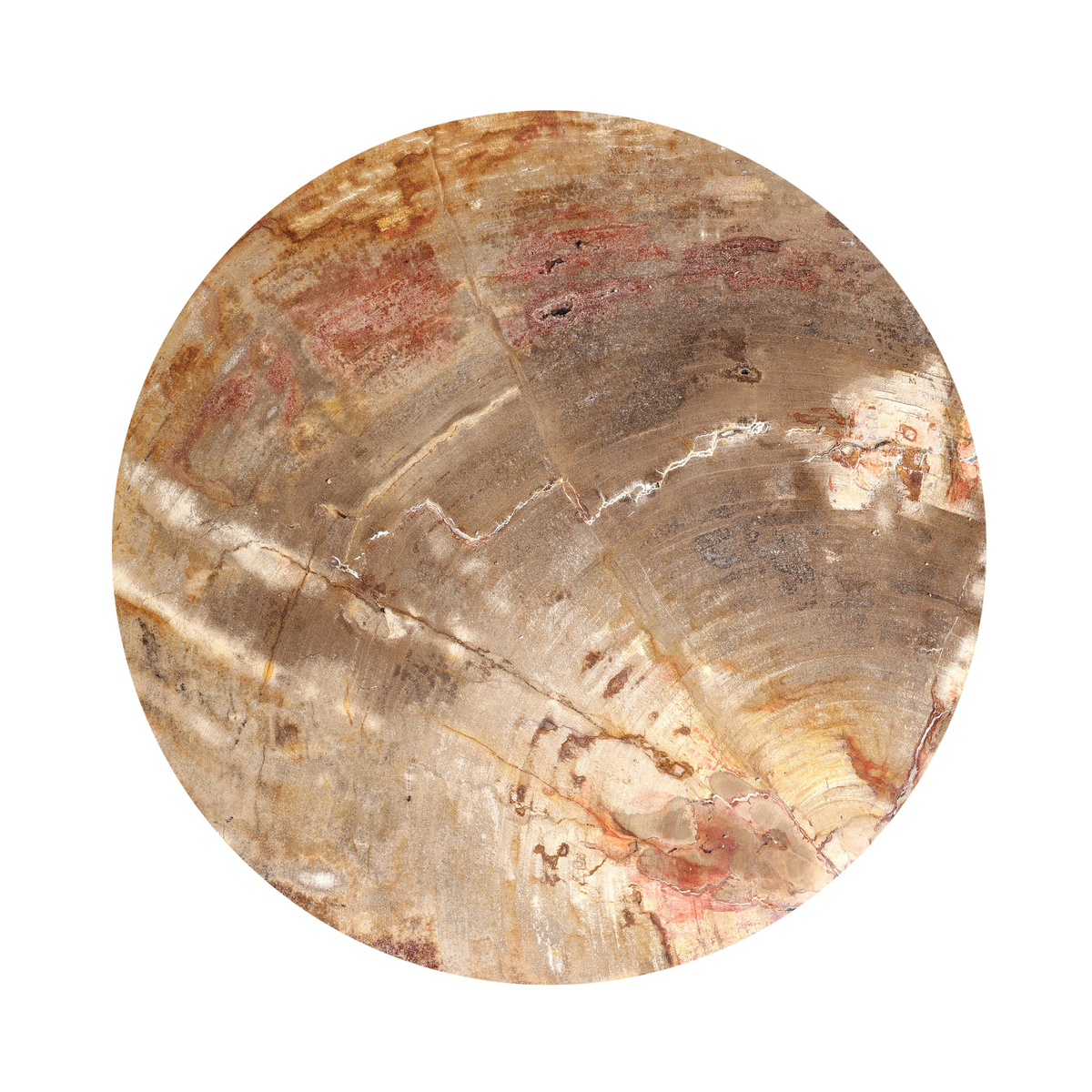 #color_light-petrified-wood