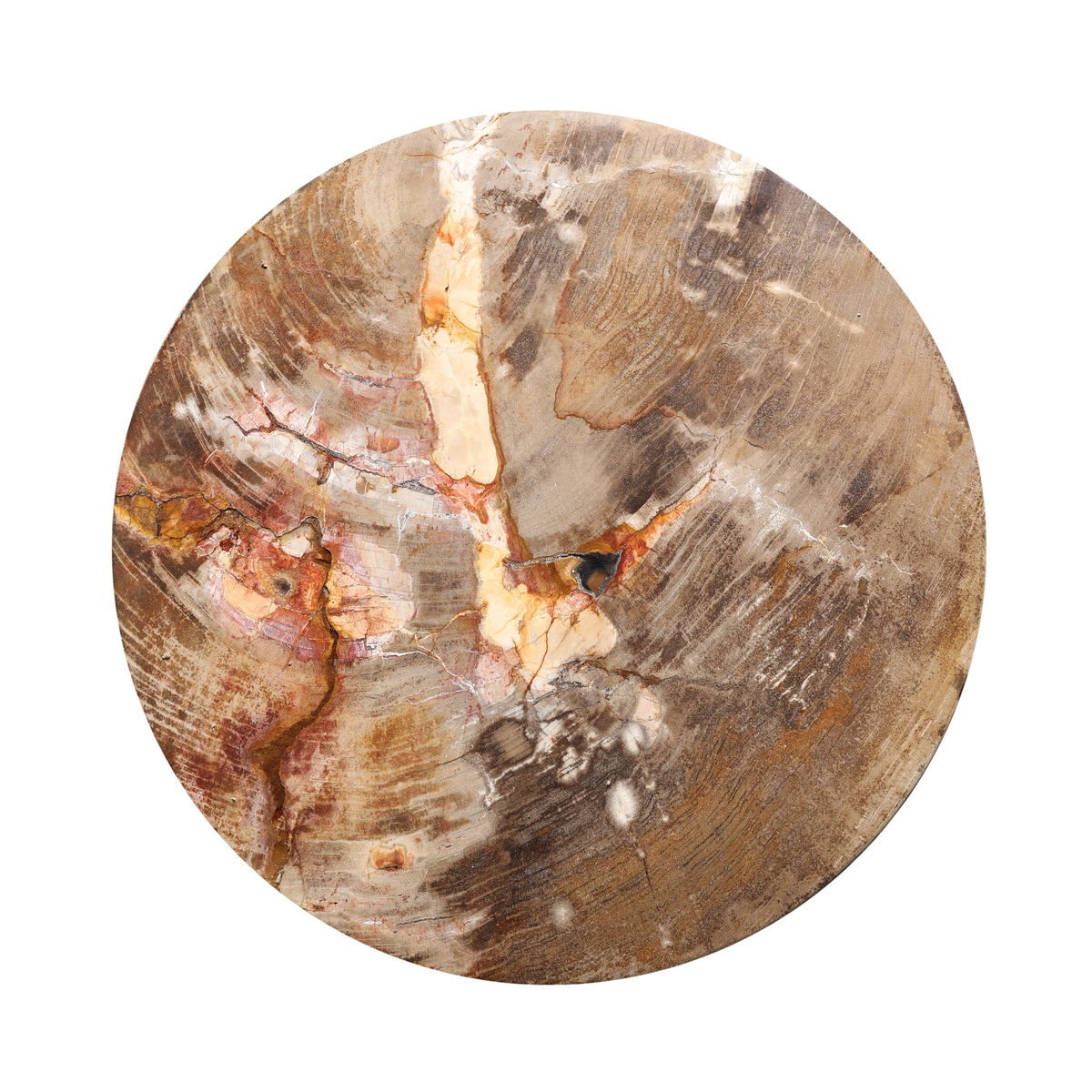 #color_light-petrified-wood