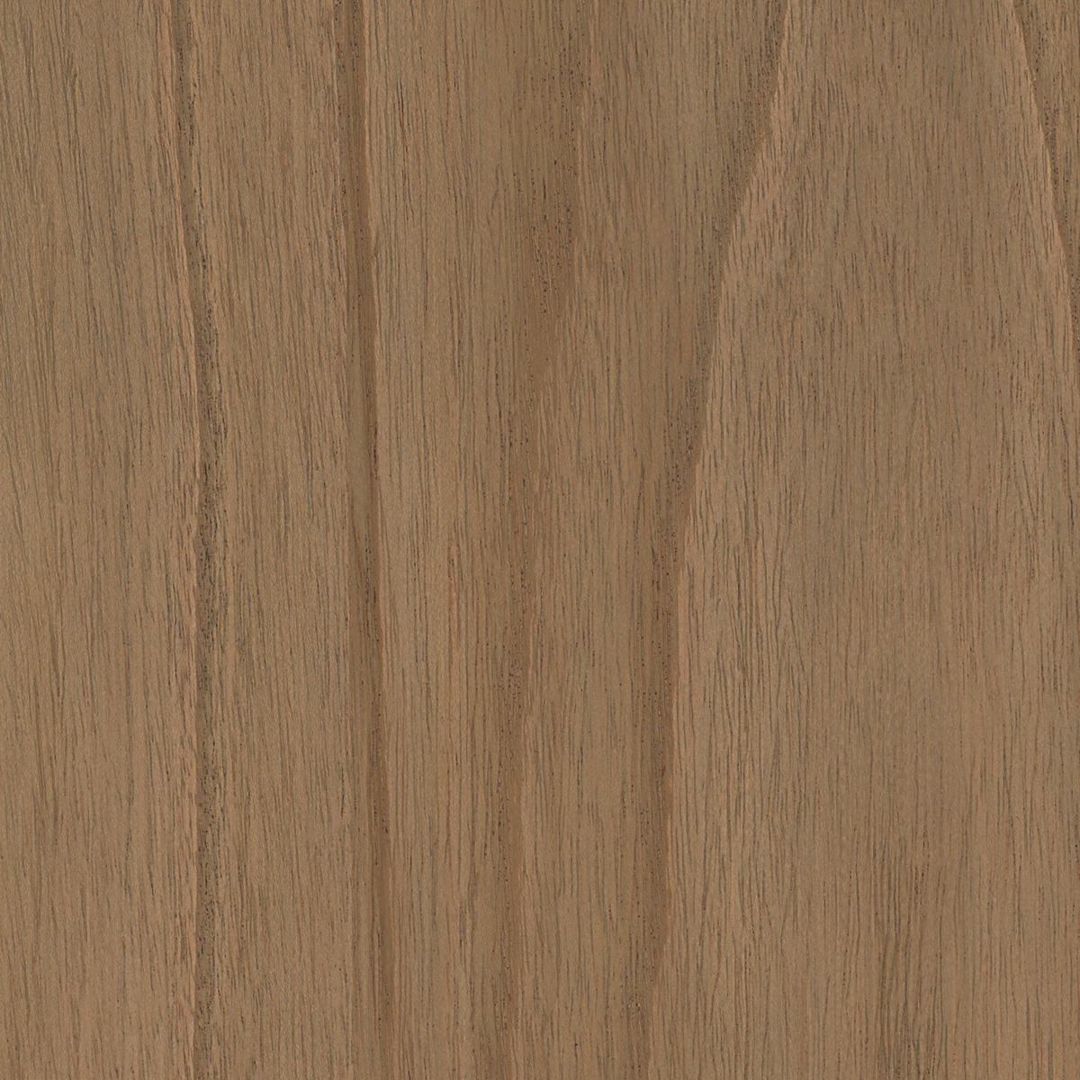 #color_sandy-mindi-veneer