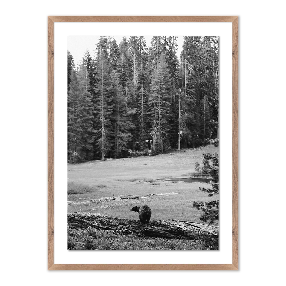 #color_rustic-1.5-walnut
