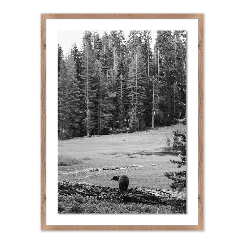 #color_rustic-1.5-walnut