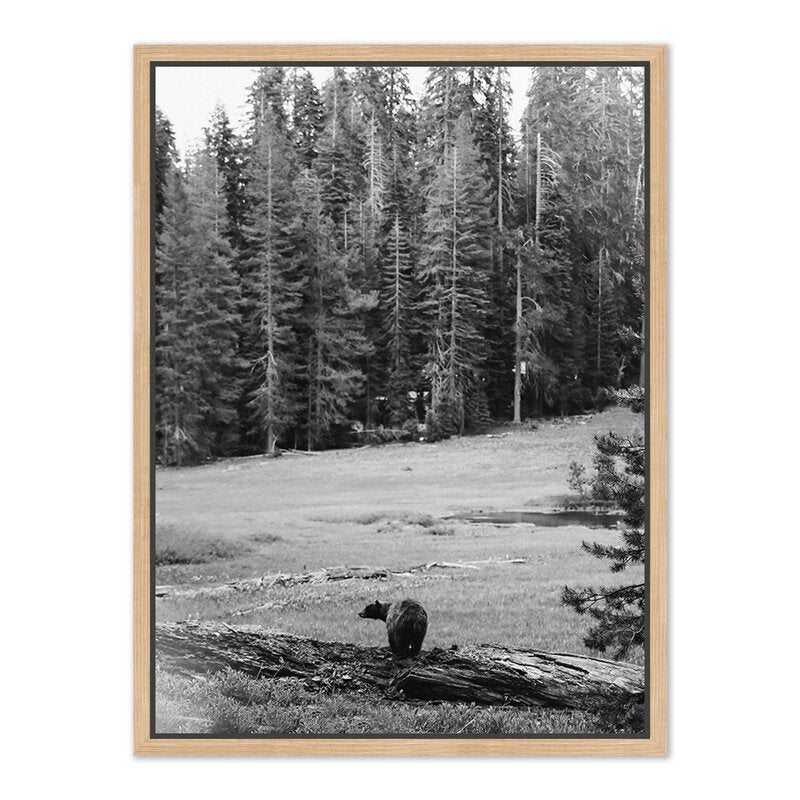 #color_vertical-grain-white-oak-floater