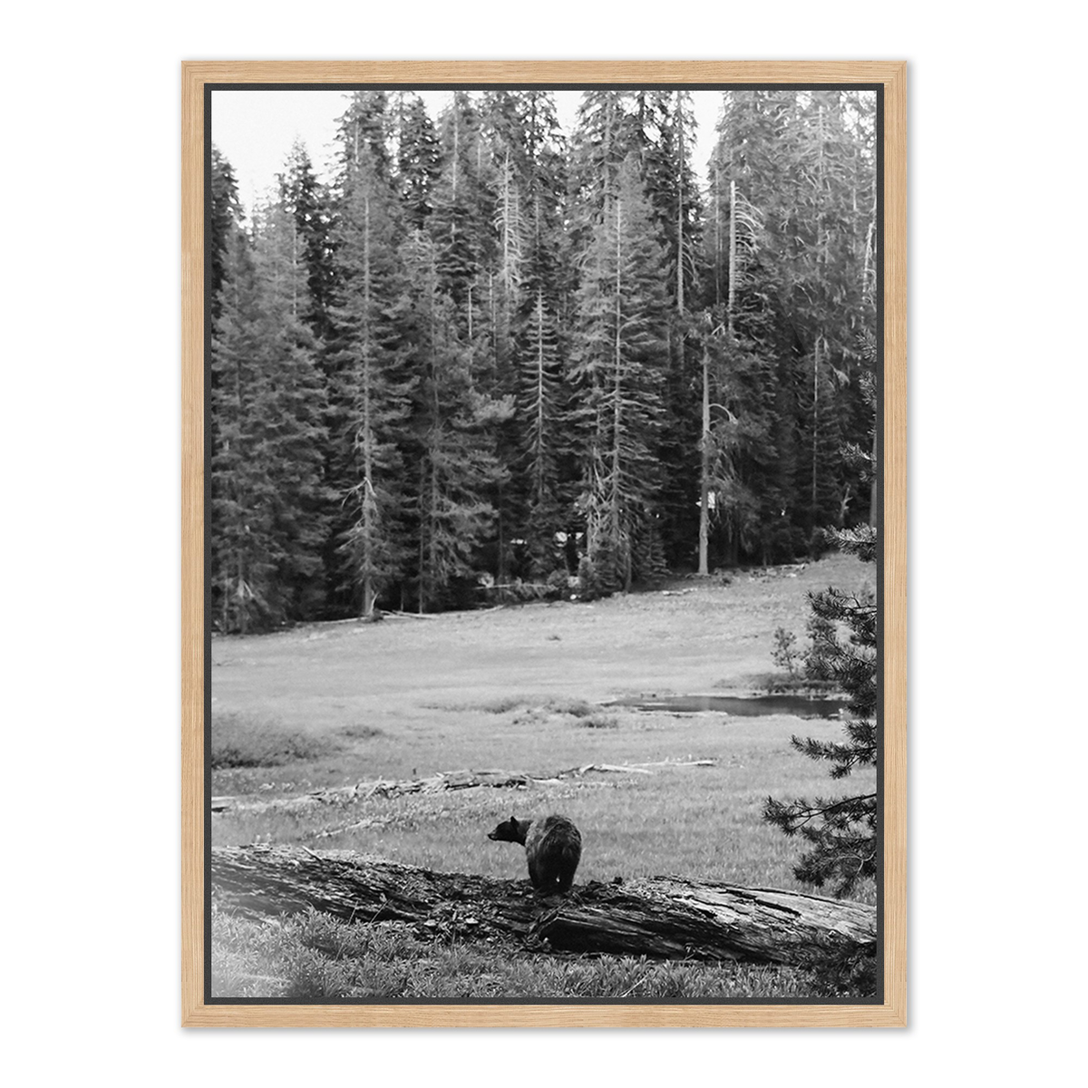 #color_vertical-grain-white-oak-floater