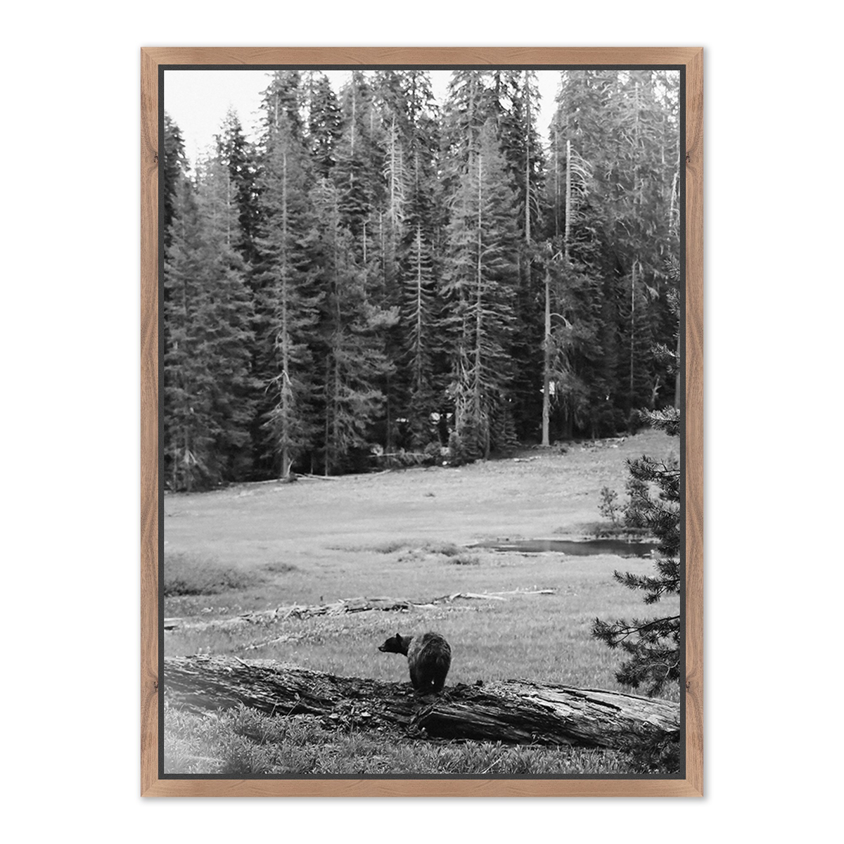 #color_rustic-walnut-floater