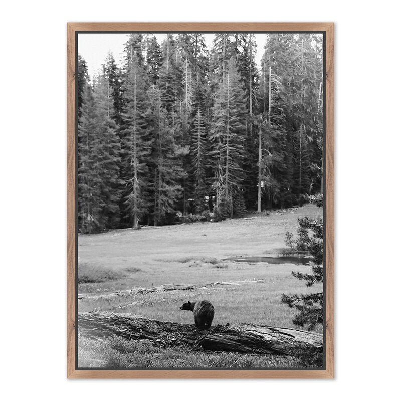 #color_rustic-walnut-floater