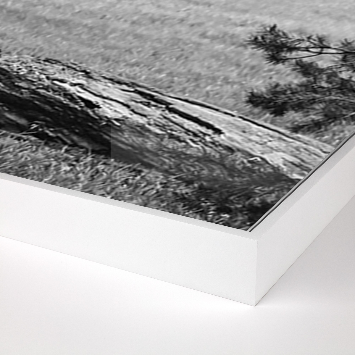 #color_white-maple-floater