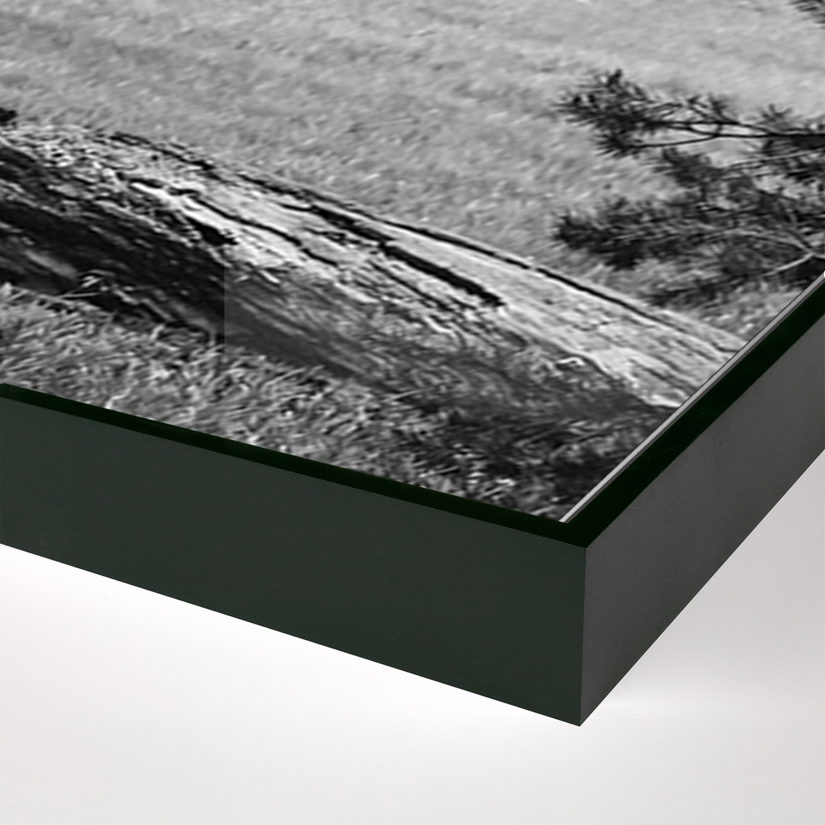 #color_black-maple-floater