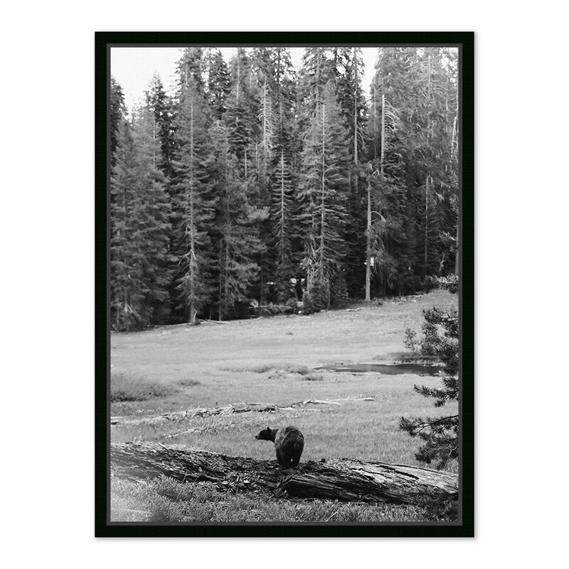 #color_black-maple-floater
