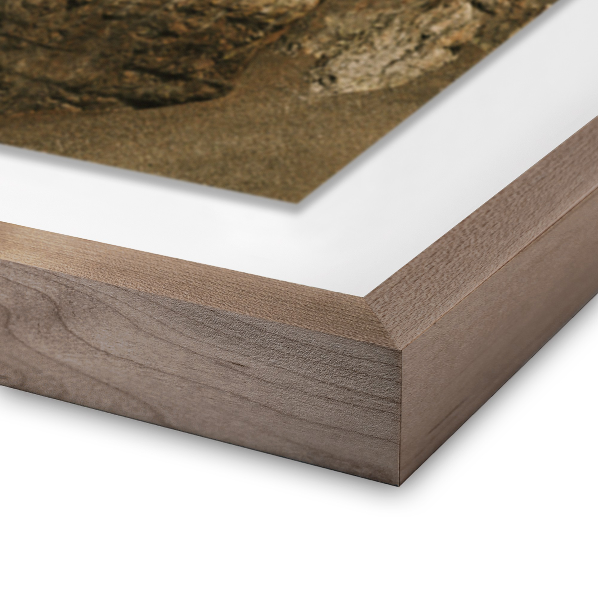 #color_rustic-1.5-walnut