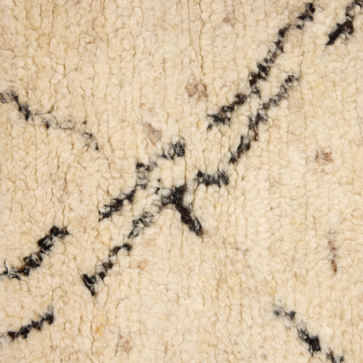 #color_home-decor/rugs/area