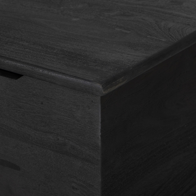 Quintin Trunk by Four Hands