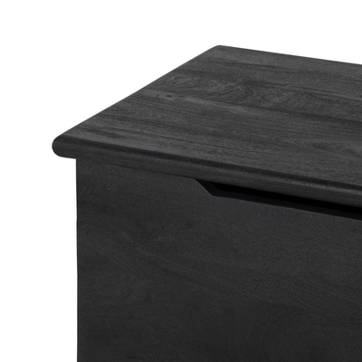 Quintin Trunk by Four Hands