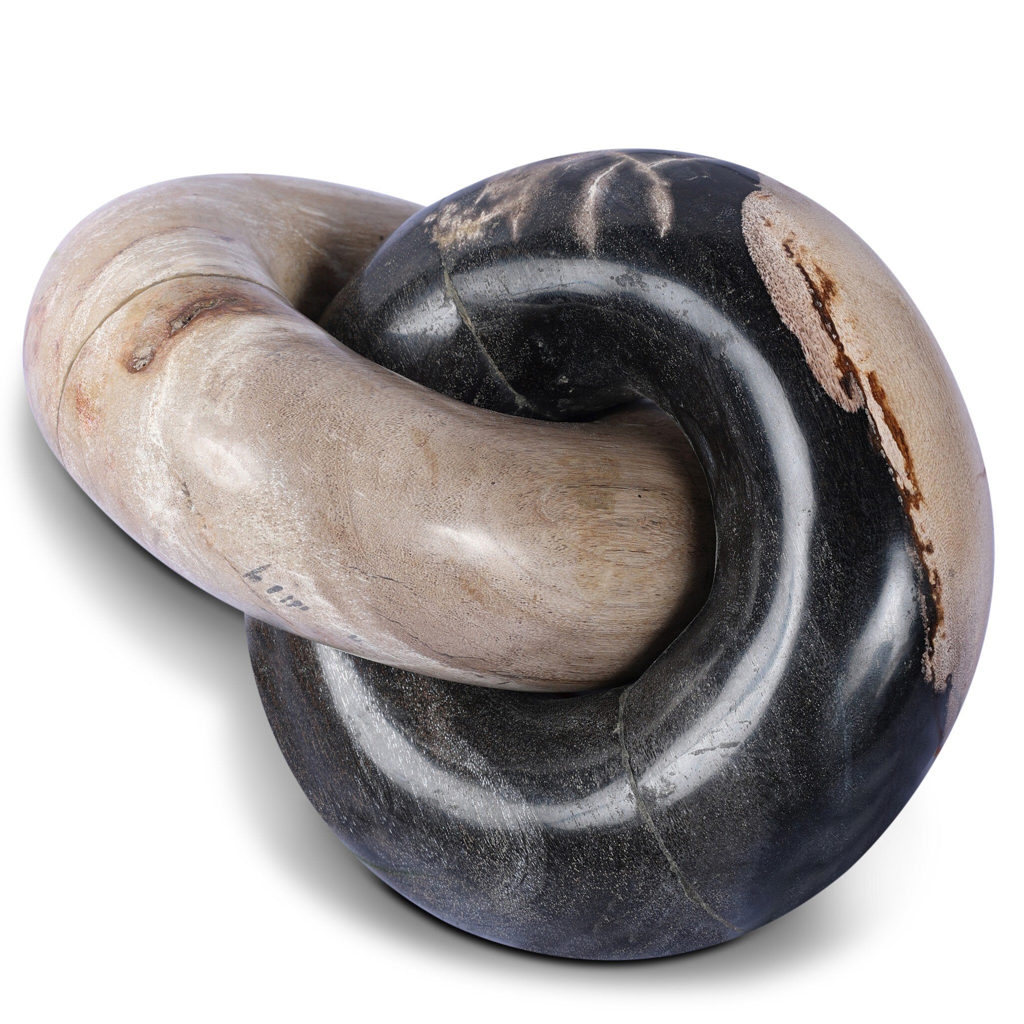 Petrified Wood Knot