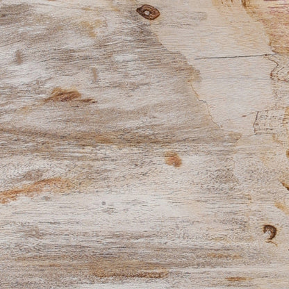 Petrified Wood Knot