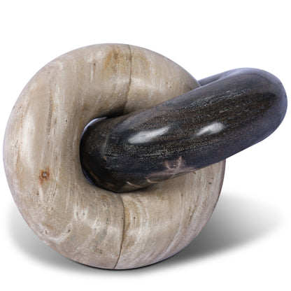 Petrified Wood Knot