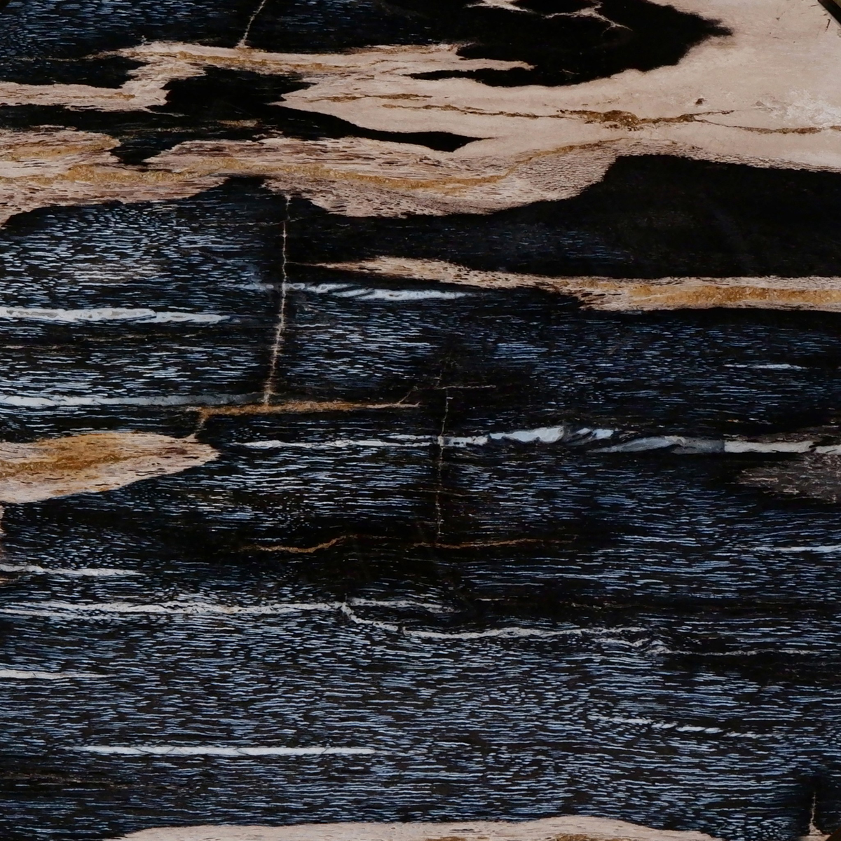 #color_dark-petrified-wood