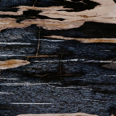 #color_dark-petrified-wood