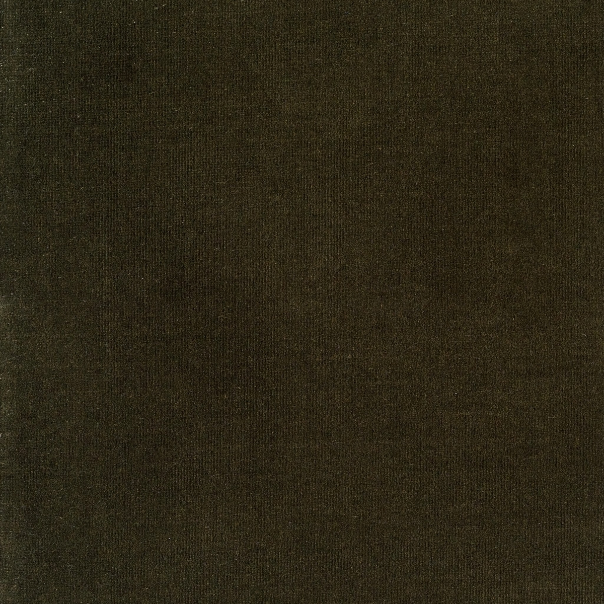 #color_surrey-olive