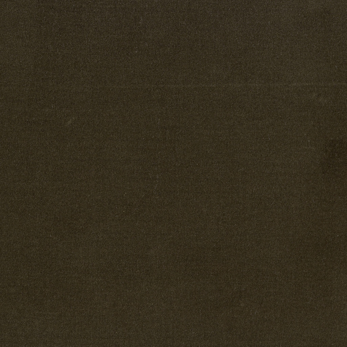 #color_surrey-olive