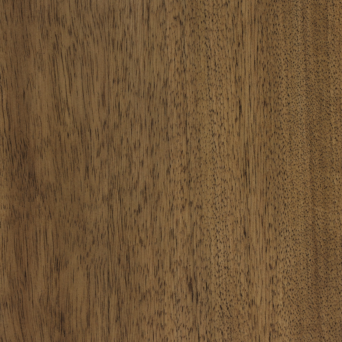 #color_irving-flax