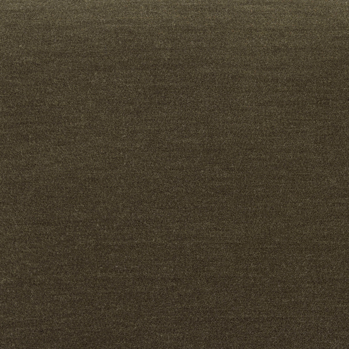 #color_monte-olive