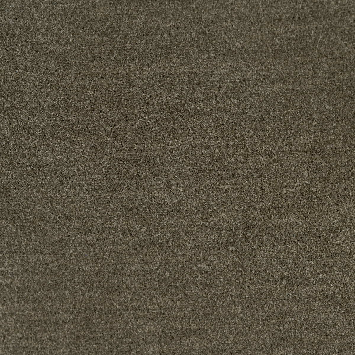 #color_monte-olive