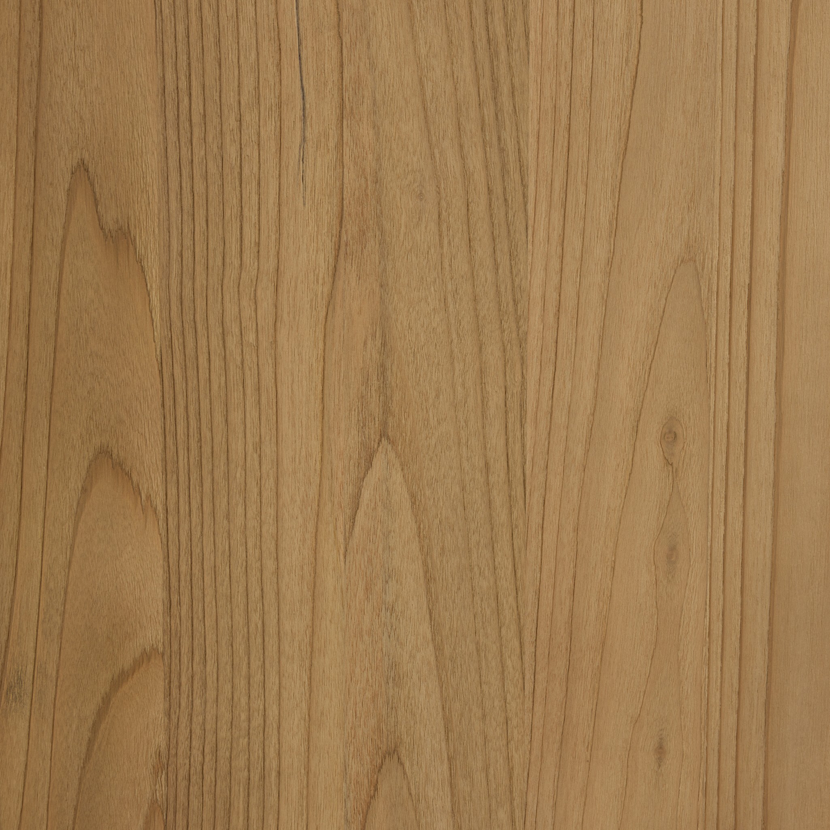 #color_light-blonde-sungkai-veneer